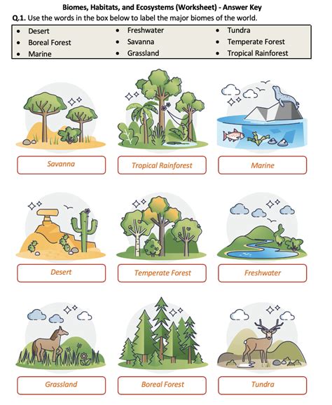 Biome Worksheets And Activities For Young Learners Land Biome Worksheet - Land Biome Worksheet