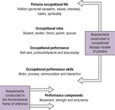 Biomechanical Frame Of Reference Occupational Therapy