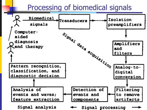 Biomedical Signal Processing Principles And Techniques