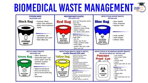 Biomedical Waste Management Assignment
