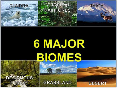 Biomes 5th Grade   Biology Video Tagged Articles - Biomes 5th Grade
