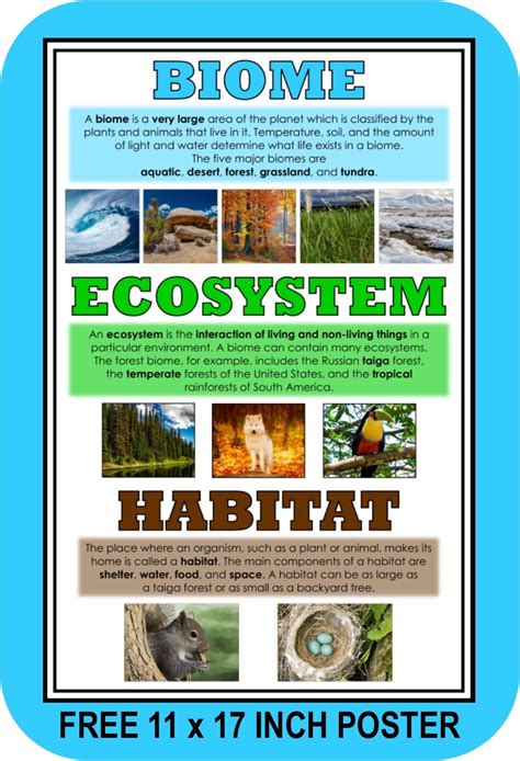 Biomes Ecosystems And Habitats Paper In This Laboratory Biome Research Worksheet - Biome Research Worksheet