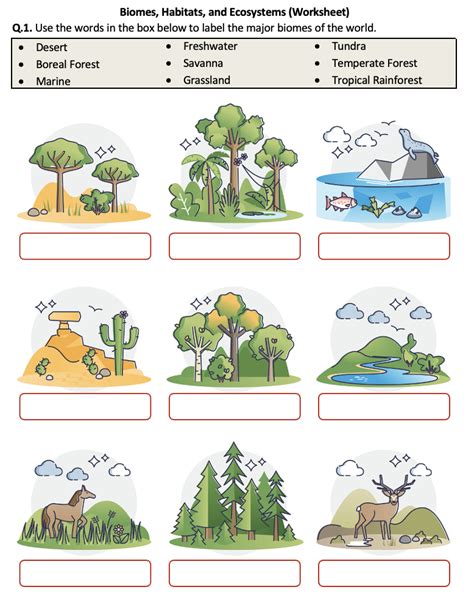 Biomes Habitats And Ecosystems Worksheet Printable And Distance Land Biomes Worksheet - Land Biomes Worksheet
