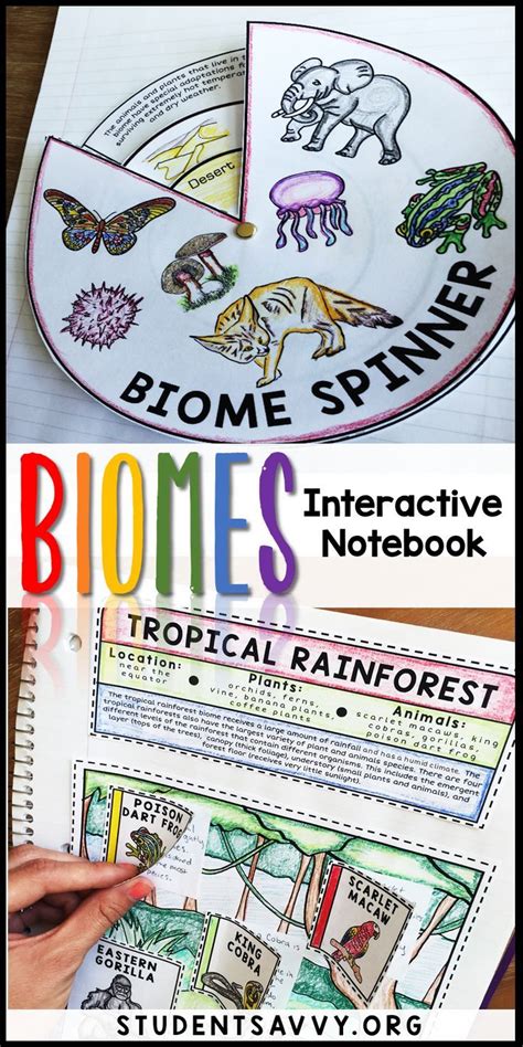 Biomes Interactive Activity For 6 Live Worksheets Land Biome Worksheet - Land Biome Worksheet