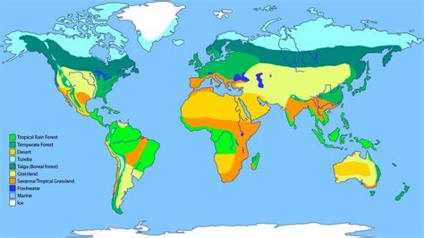 Biomes Of The World Answer Key