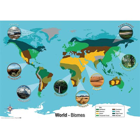 Biomes Of The World Ask A Biologist Biome Biomes Of The World Answer Key - Biomes Of The World Answer Key