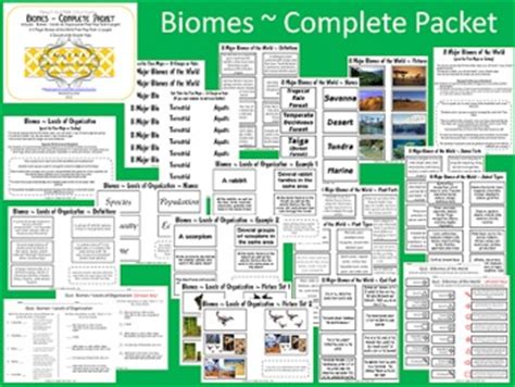 Biomes Of The World Complete Packet 22 Pages Biomes Of The World Answer Key - Biomes Of The World Answer Key