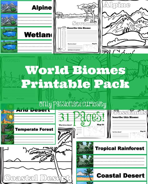 Biomes Of The World Worksheets K12 Workbook Biomes Of The World Answer Key - Biomes Of The World Answer Key