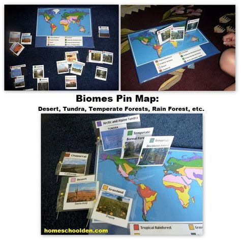 Biomes Pin Map Homeschool Den Biomes Map Worksheet - Biomes Map Worksheet