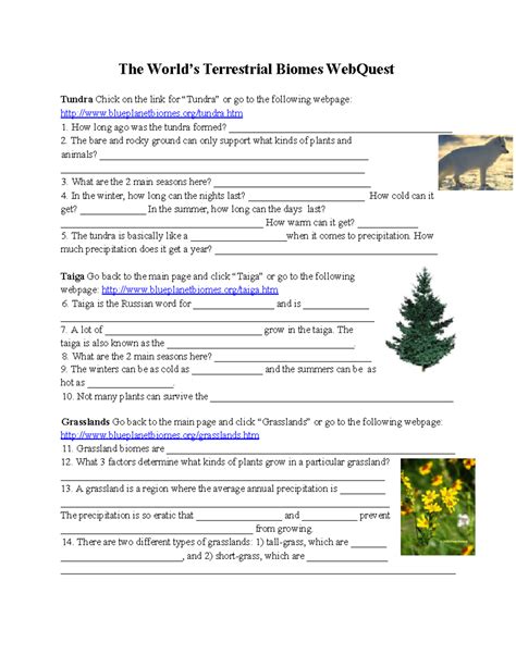 biomes webquest answer sheet