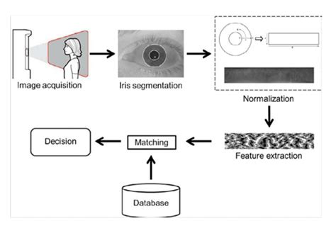 Read Online Biometric Identification Using Iris Recognition System 