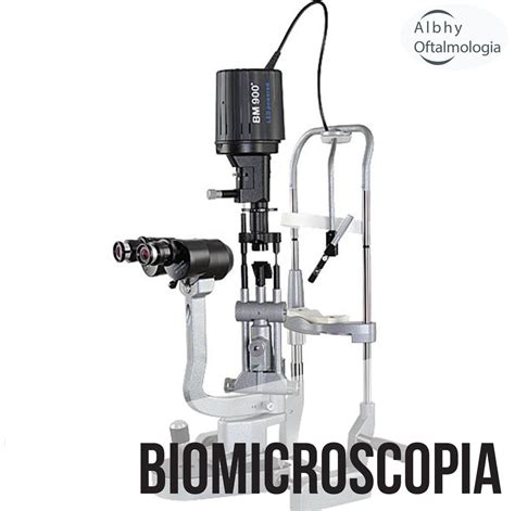 biomicroscopia-4