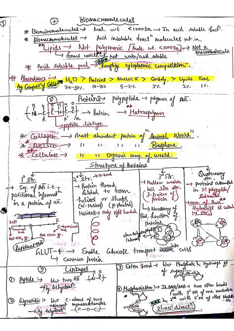 Download Biomolecule High School Biology Notes 