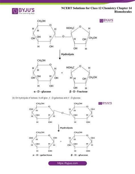 Biomolecules Class 12 Ncert Solutions