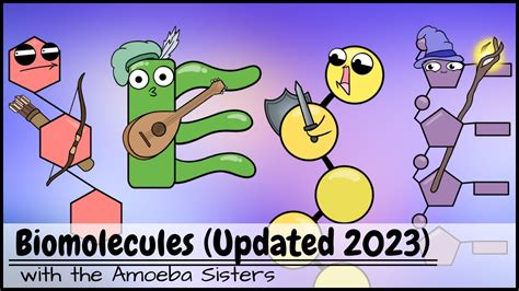 Biomolecules Updated 2023 Youtube Amoeba Sisters Biomolecules Worksheet - Amoeba Sisters Biomolecules Worksheet