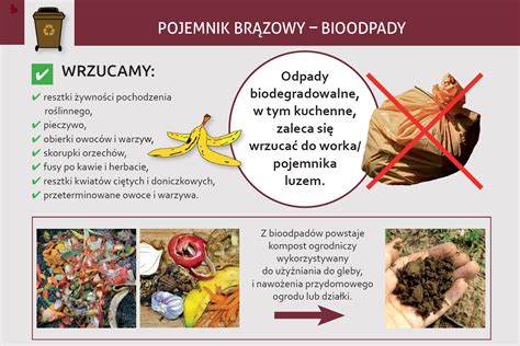 bioodpady co to