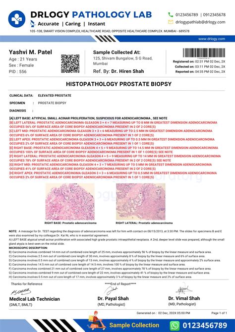 biopsy interpretation of the prostate