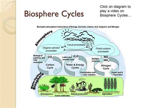Biosphere Review For Answer Key