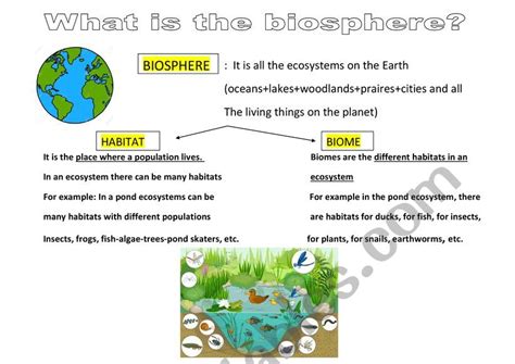 Biosphere Starts With Answer Worksheets Kiddy Math Biosphere Starts With Worksheet Answers - Biosphere Starts With Worksheet Answers