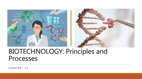 Biotechnology Principles And Processes Class 12 Notes