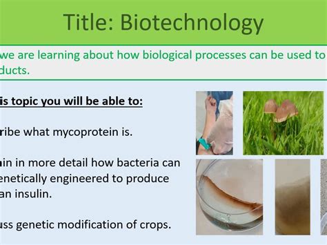 Biotechnology Resources At Mcce