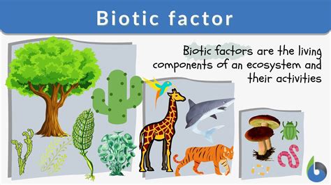 Biotic And Abiotic
