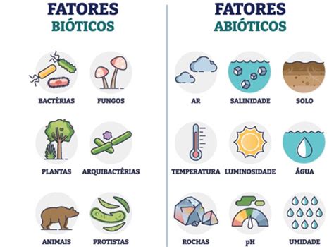 Bioticos E Abioticos