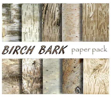 Full Download Birch Bark Contact Paper 