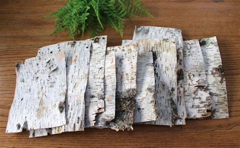 Full Download Birch Bark Contact Paper 