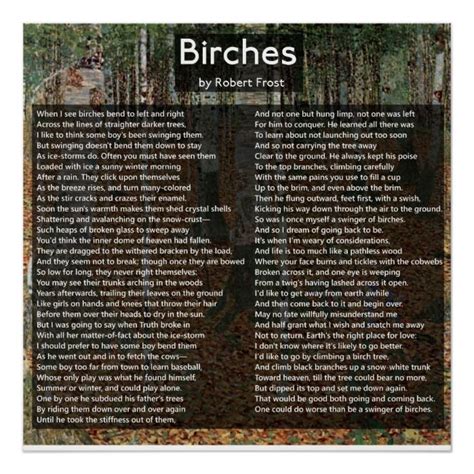 Birches By Robert Frost