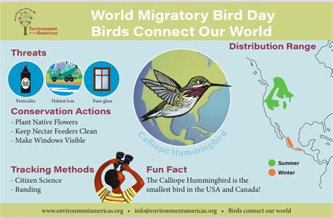Bird A Day 2020 Interactive Daily Calendar Western
