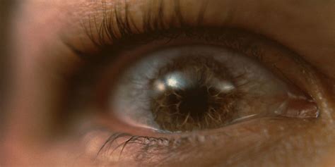 Bird Box Eyes