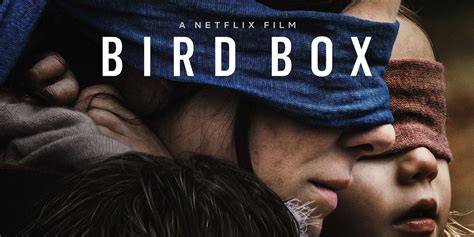Bird Box Summary