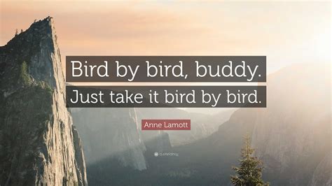 Bird By Bird Quote