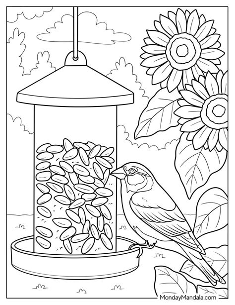 bird coloring