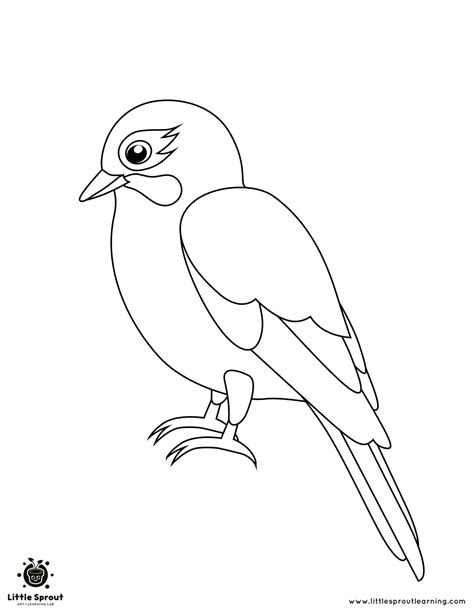 bird coloring pages