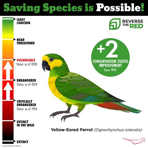 bird conservation status