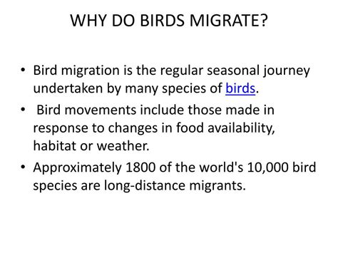 bird migration toefl listening