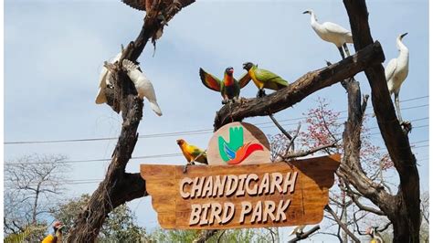 bird park - ChandigarhX