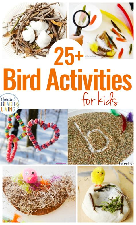 Bird Science Activities For Preschoolers   Preschool Bird Activities Chalk In My Pocket - Bird Science Activities For Preschoolers