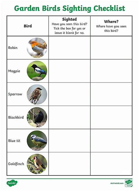 Bird Study Bird Watching Worksheets Education Possible Worksheet On Birds - Worksheet On Birds