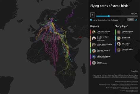 bird tracking map