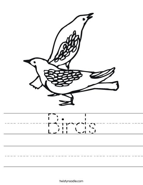 Bird Worksheets Twisty Noodle Worksheet On Birds - Worksheet On Birds