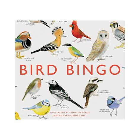 Read Bird Bingo 