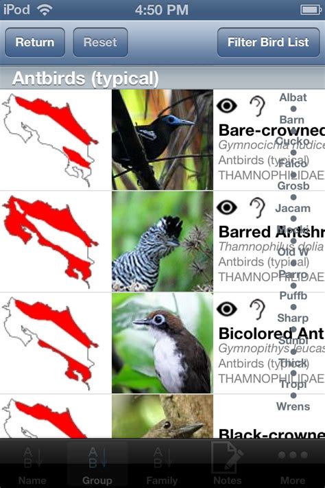 Read Online Bird Field Guide App 