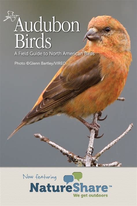 Read Online Bird Field Guide App 