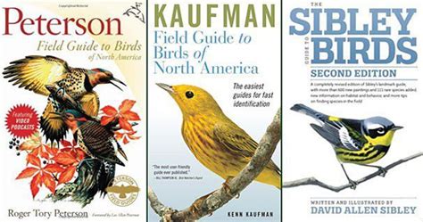 Read Online Bird Field Guide Book 