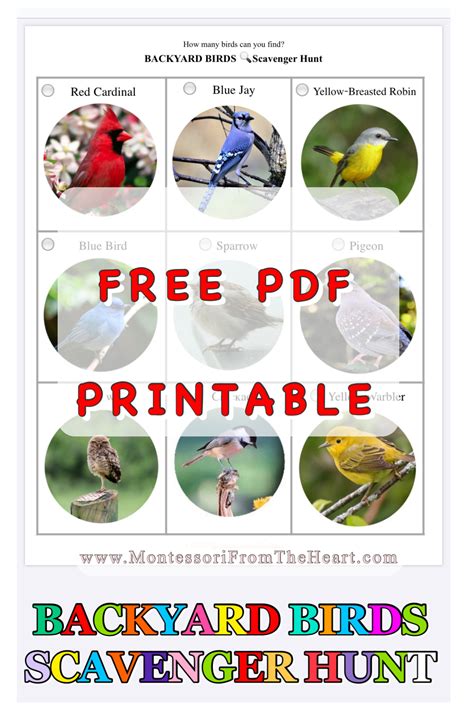 Download Bird Scavenger Hunt Activity Super Teacher Worksheets 