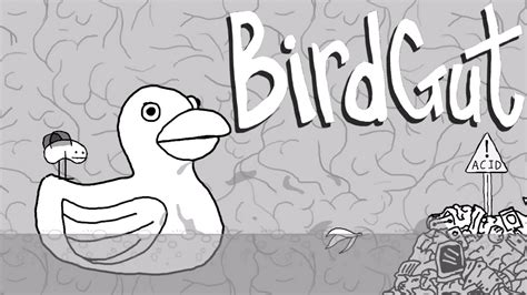 Birdgut Maze Walkthrough
