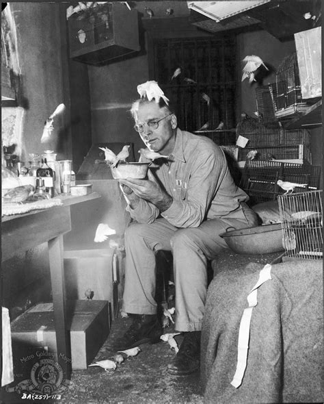 Birdman Of Alcatraz